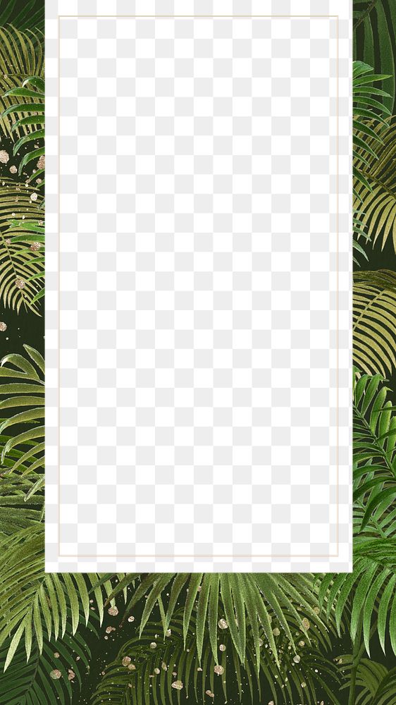 Tropical palm trees png frame, transparent design