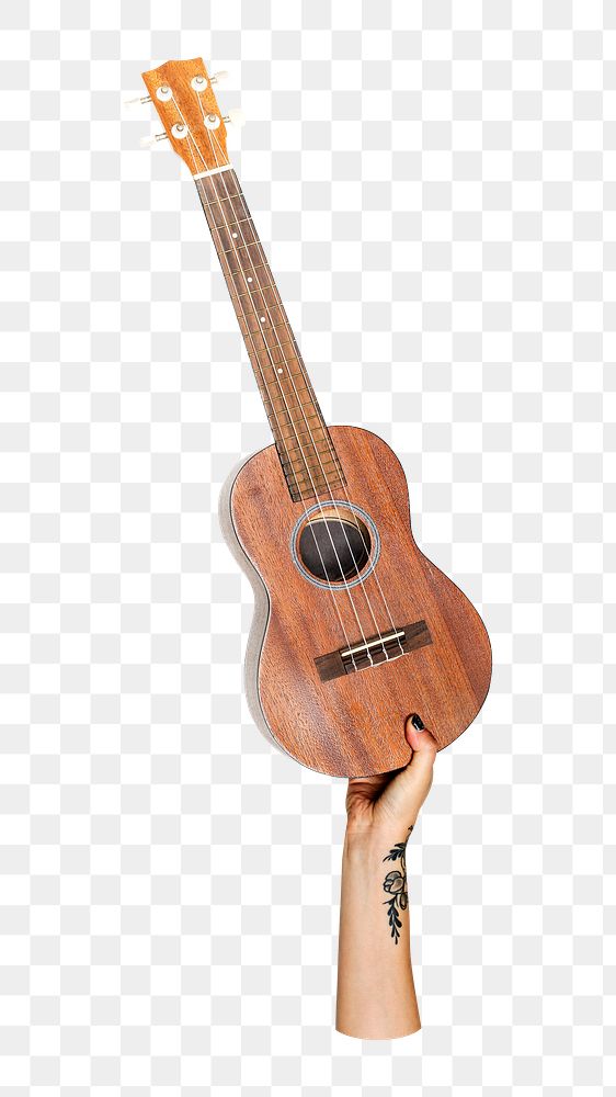Png ukulele in hand on transparent background