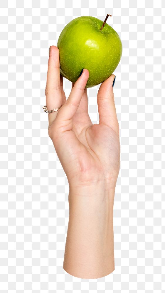 Apple png in hand on transparent background