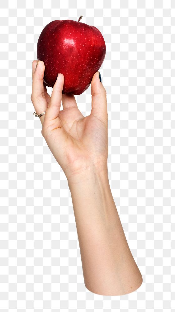 Apple png in hand, transparent background