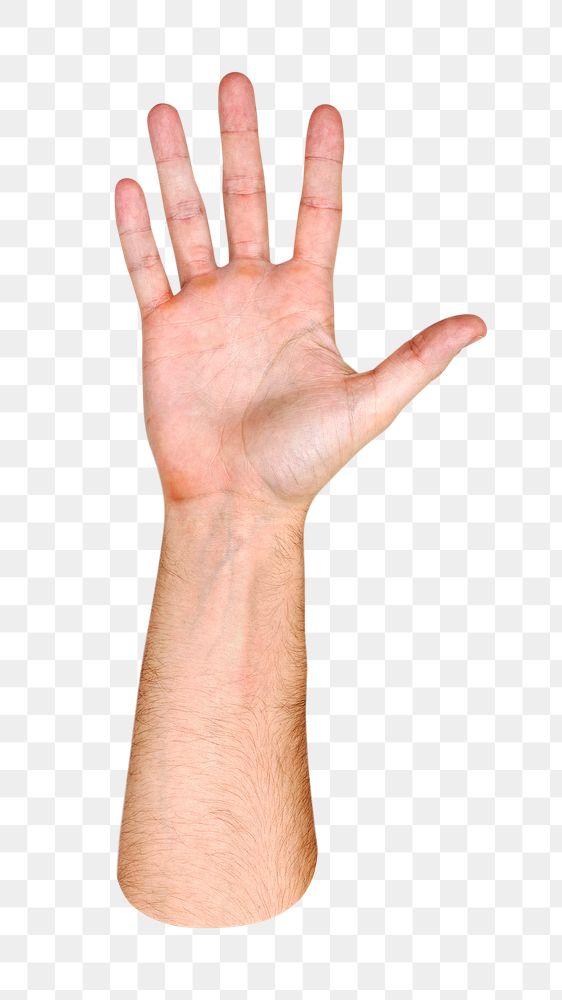 Png hand raised gesture on transparent background