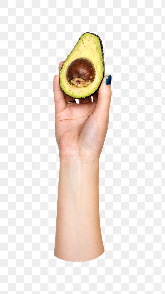 Avocado png in hand on transparent background