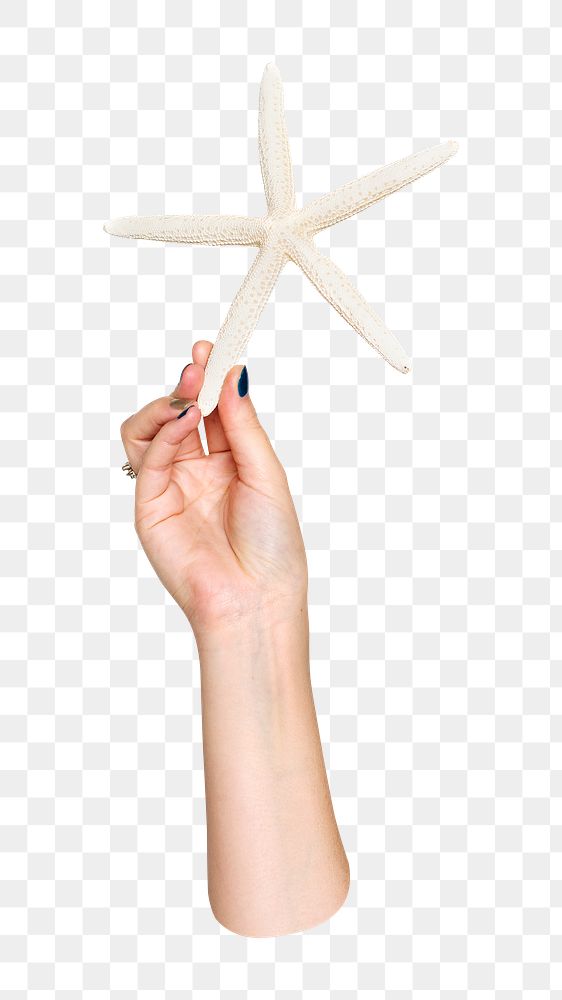 Starfish png in hand, transparent background