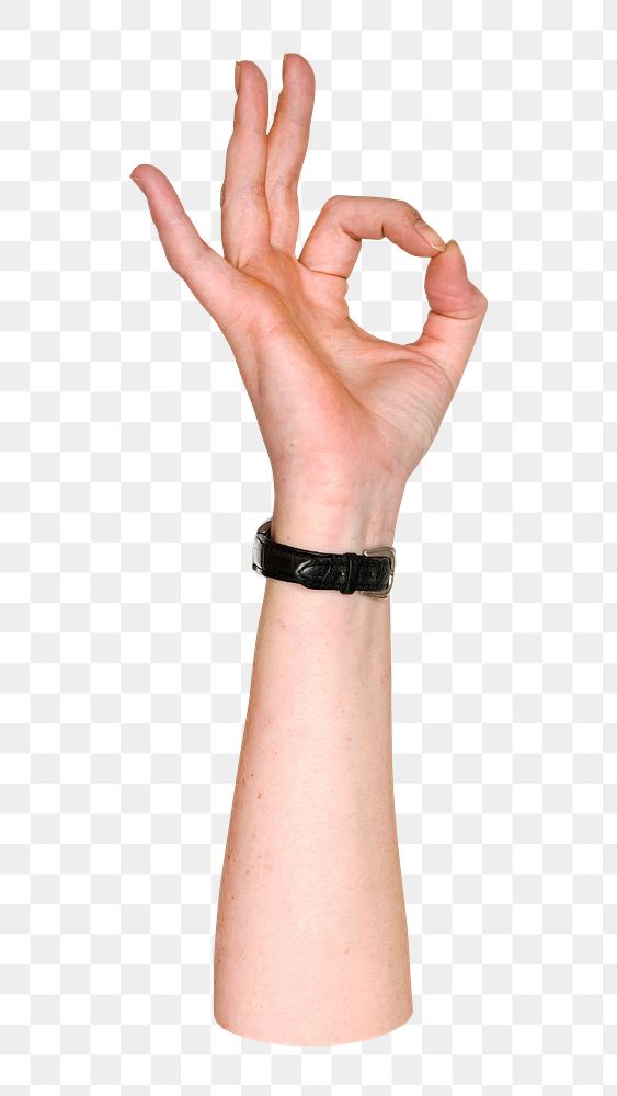 OK png hand gesture, sign language on transparent background