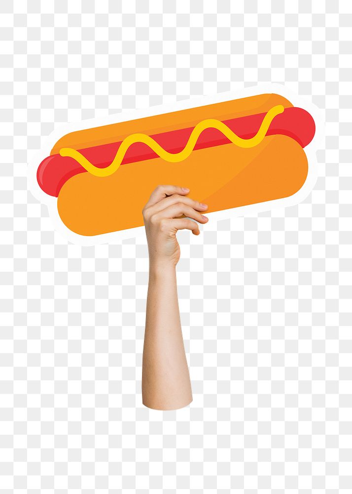 Hand holding png hot dog, fast food, transparent background