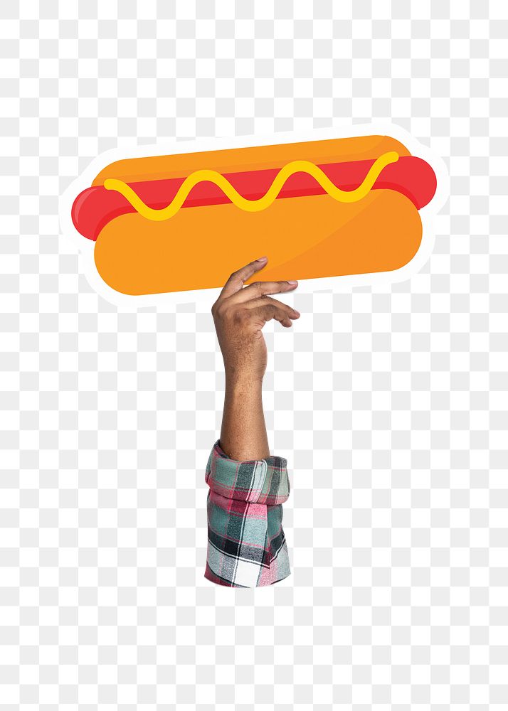 Hand holding png hot dog, fast food, transparent background