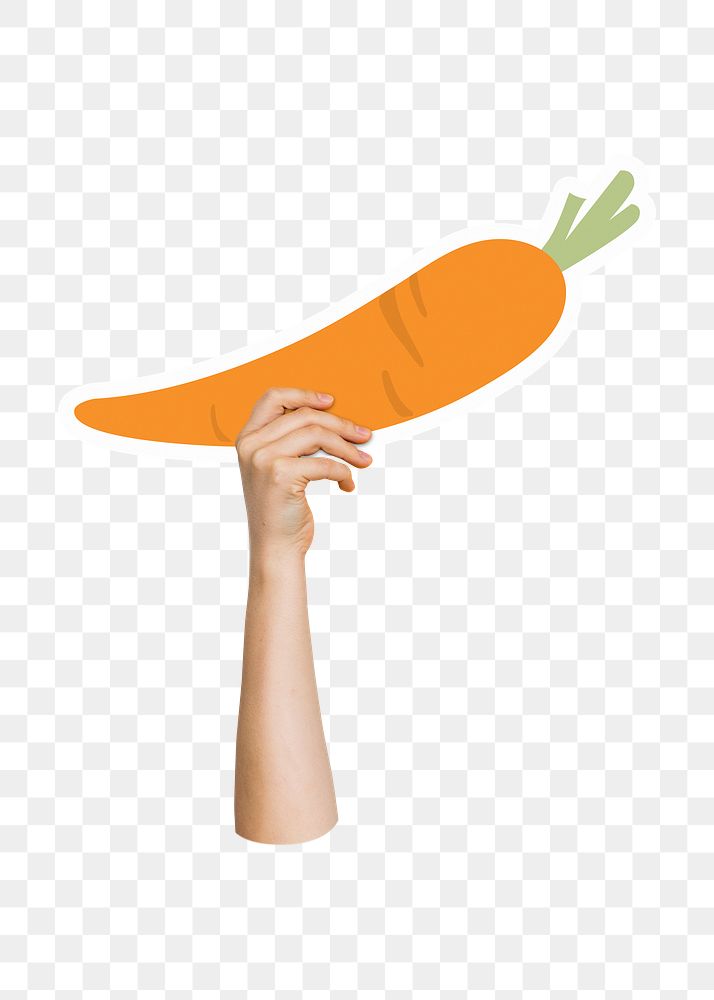 Hand holding png carrot, transparent background