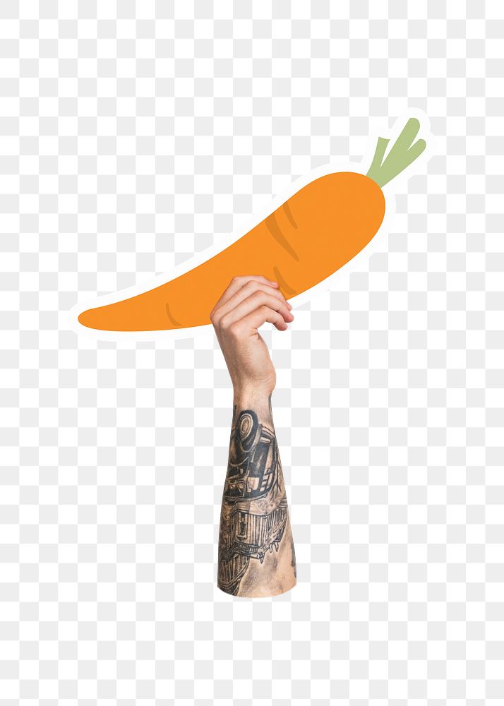 Hand holding png carrot, transparent background