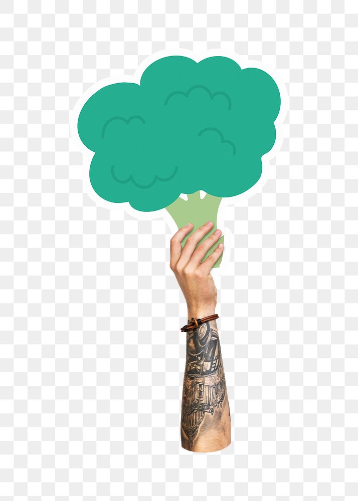 Hand holding png broccoli, transparent background