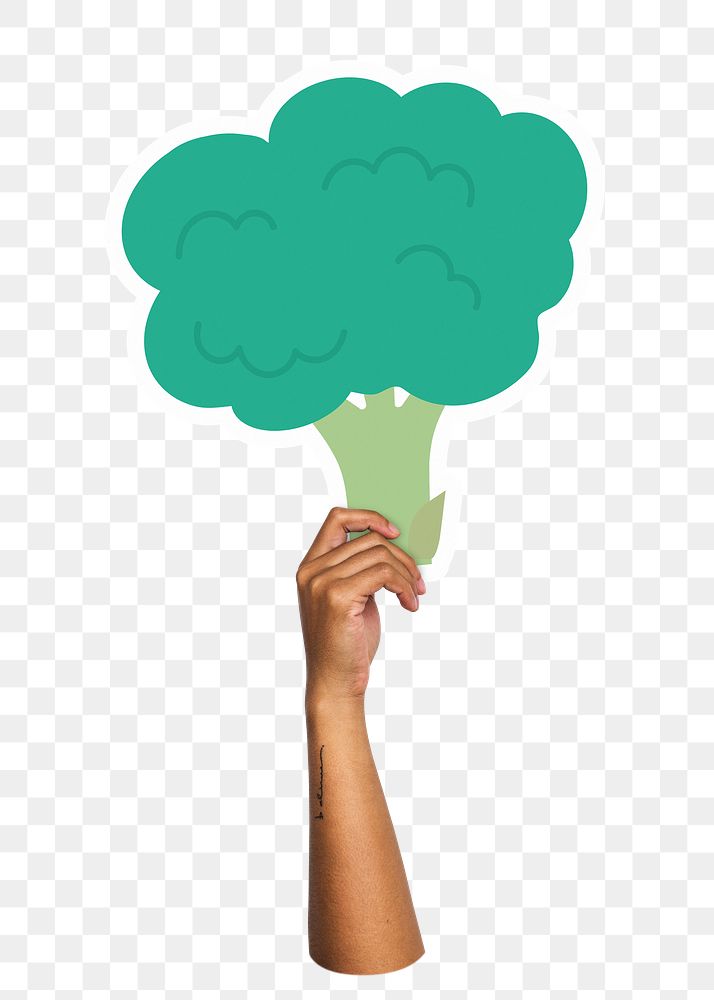 Hand holding png broccoli sticker, transparent background