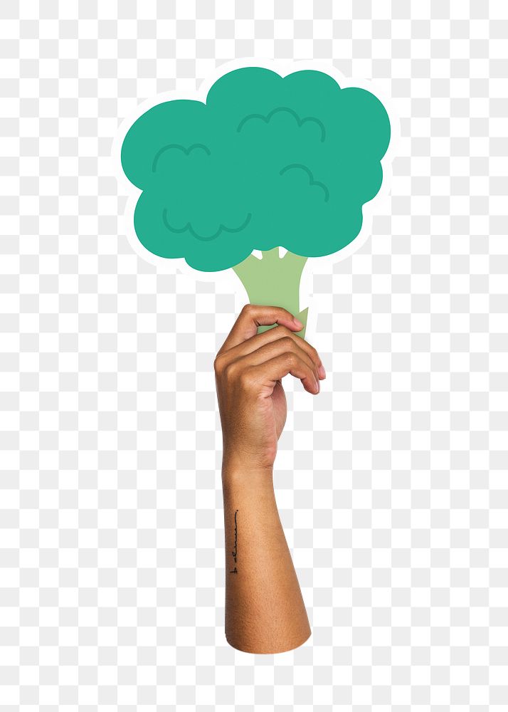 Hand holding png broccoli sticker, transparent background