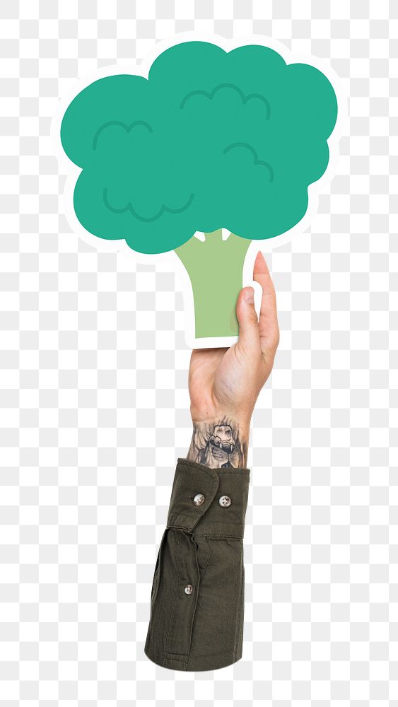 Hand holding png broccoli sticker, transparent background