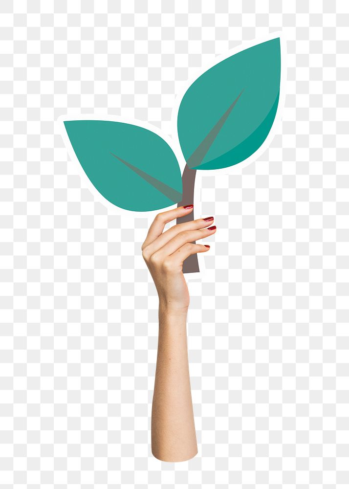 Hand holding leaf png sticker, transparent background