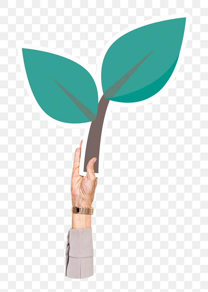 Hand holding leaf png sticker, transparent background