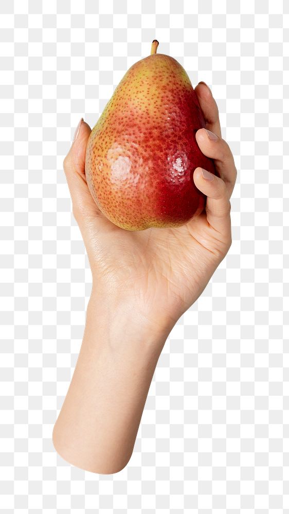 Png hand showing pear, transparent background