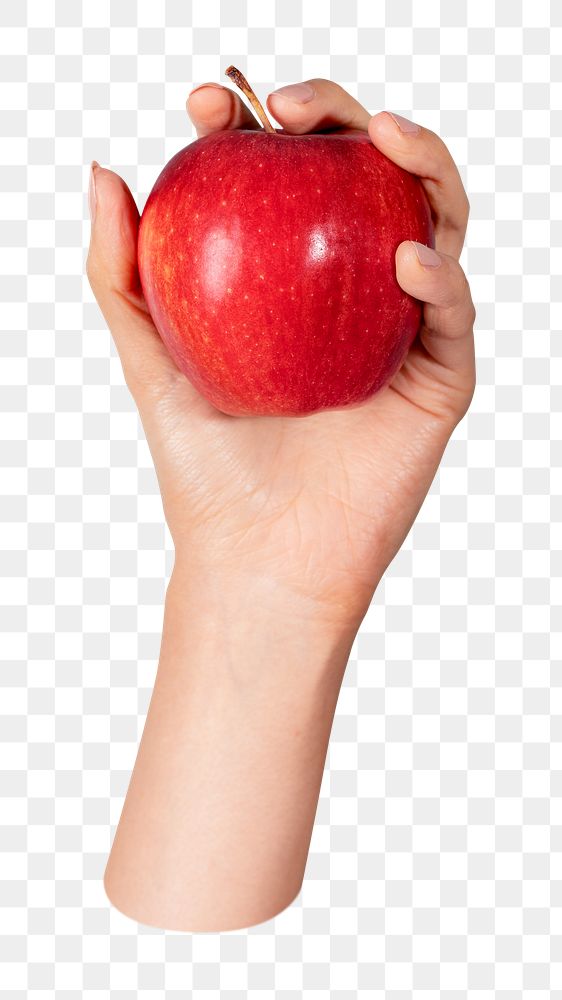 Png hand showing apple, transparent background