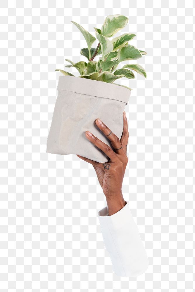 Png hand holding plant, transparent background