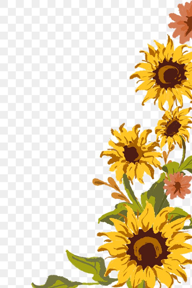 Sunflower png border, transparent background