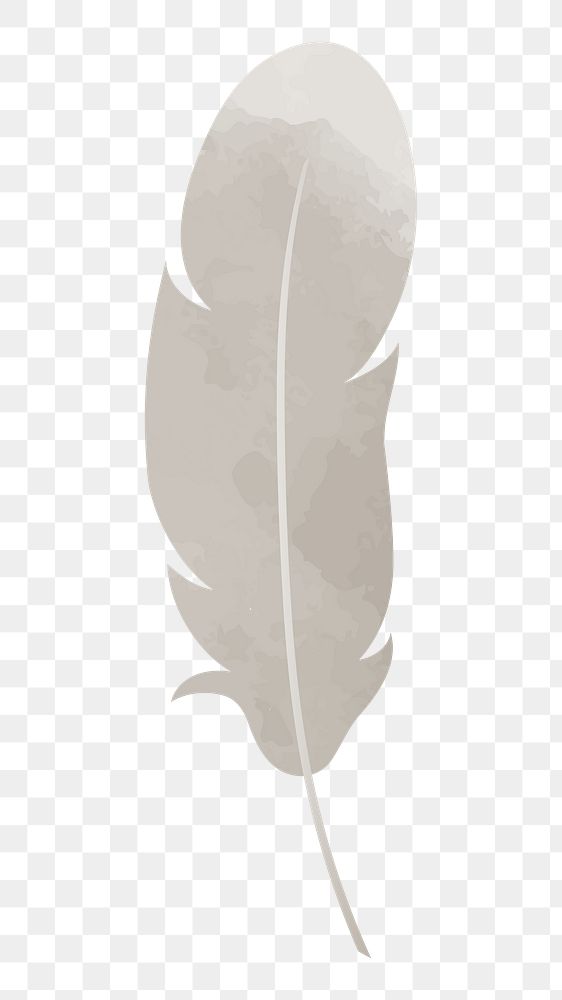 Feather png illustration, transparent background