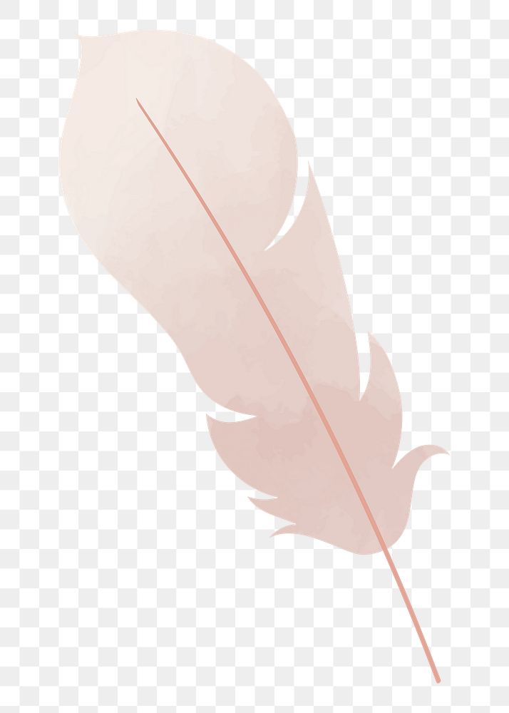 Feather png illustration, transparent background