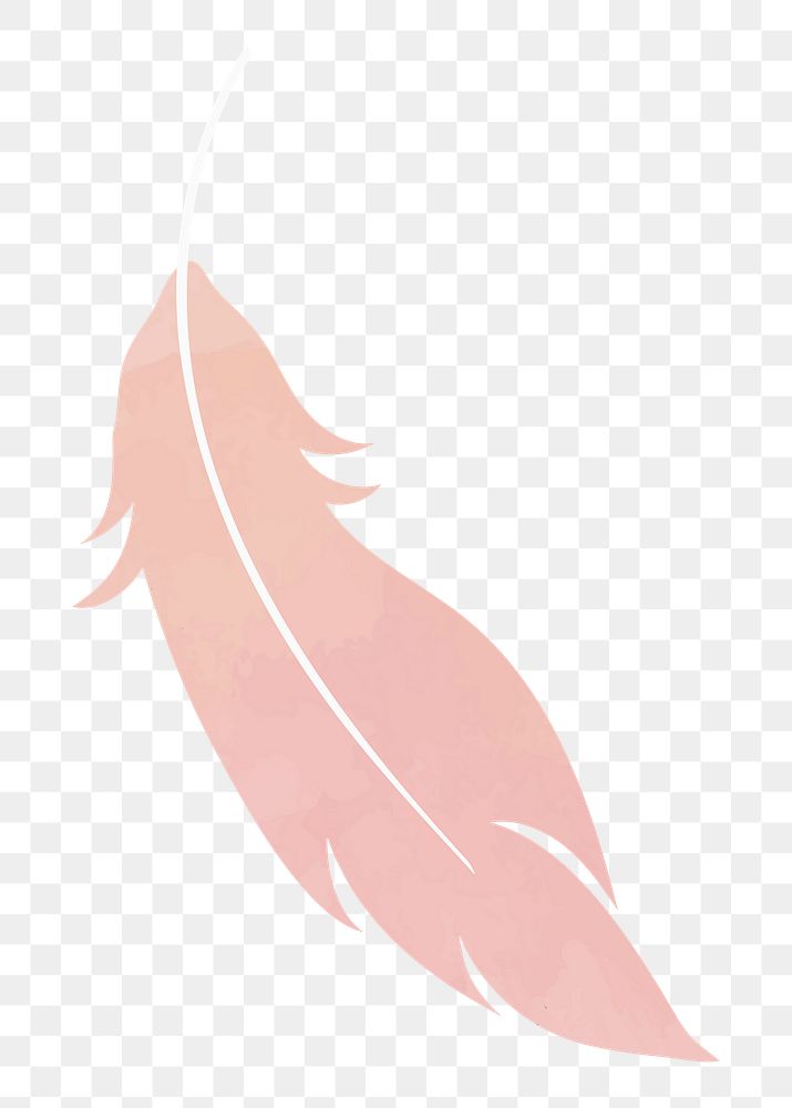 Feather png illustration, transparent background