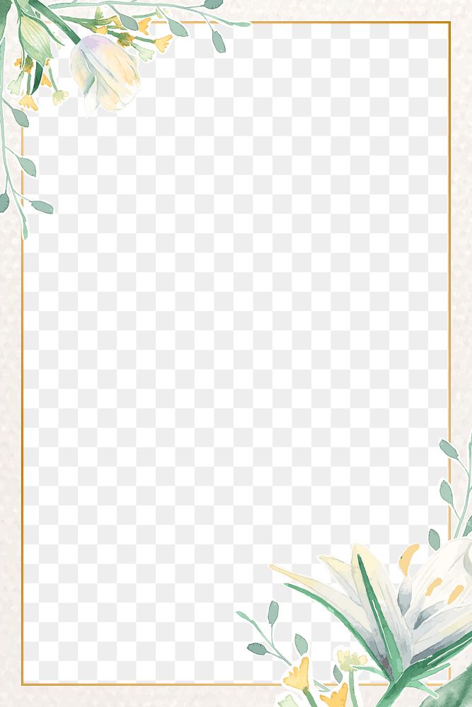 Aesthetic flower png frame, transparent background