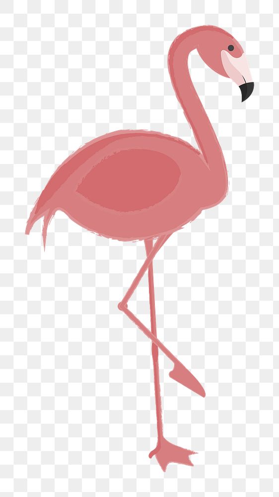 Flamingo png illustration, transparent background