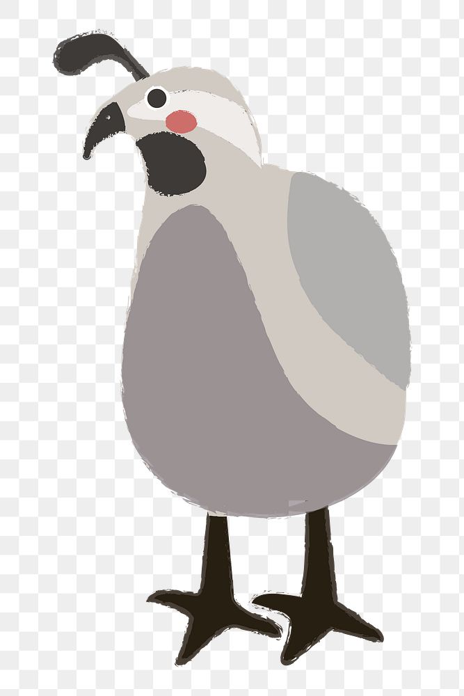 Bird png illustration, transparent background