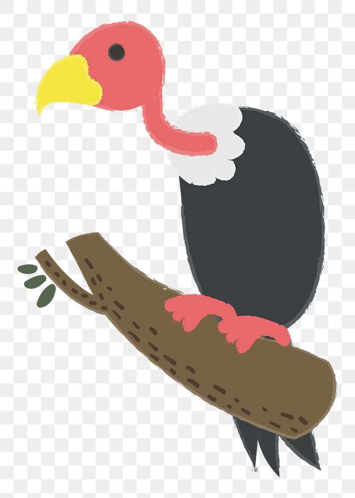 Vulture png illustration, transparent background