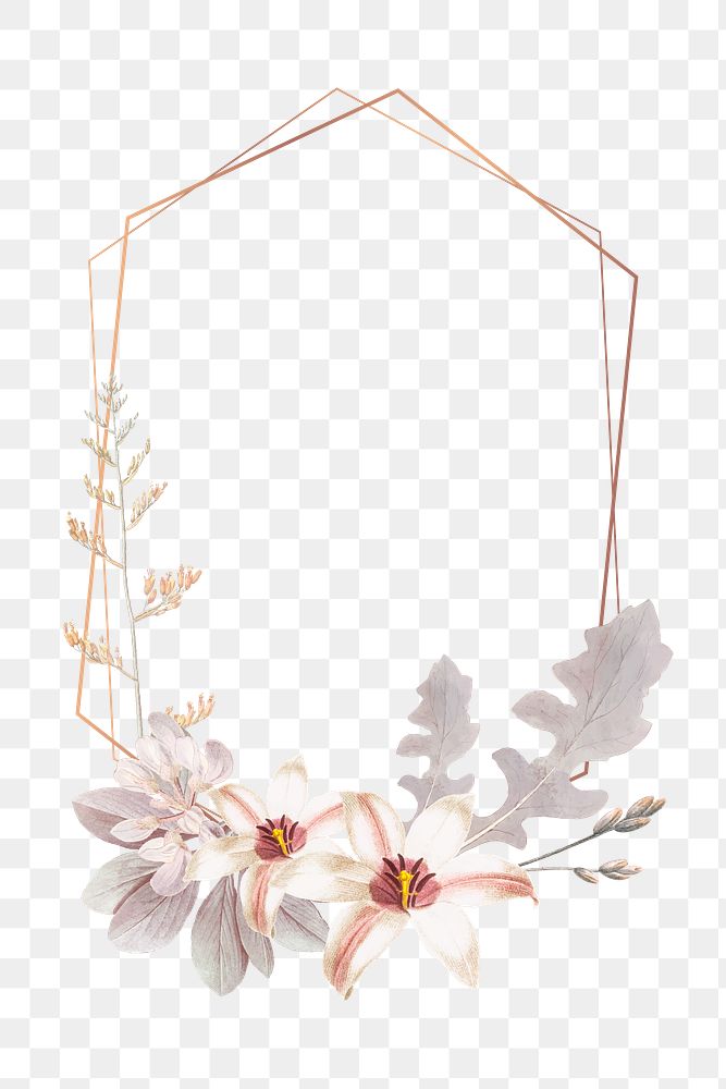 Flower png frame, transparent background