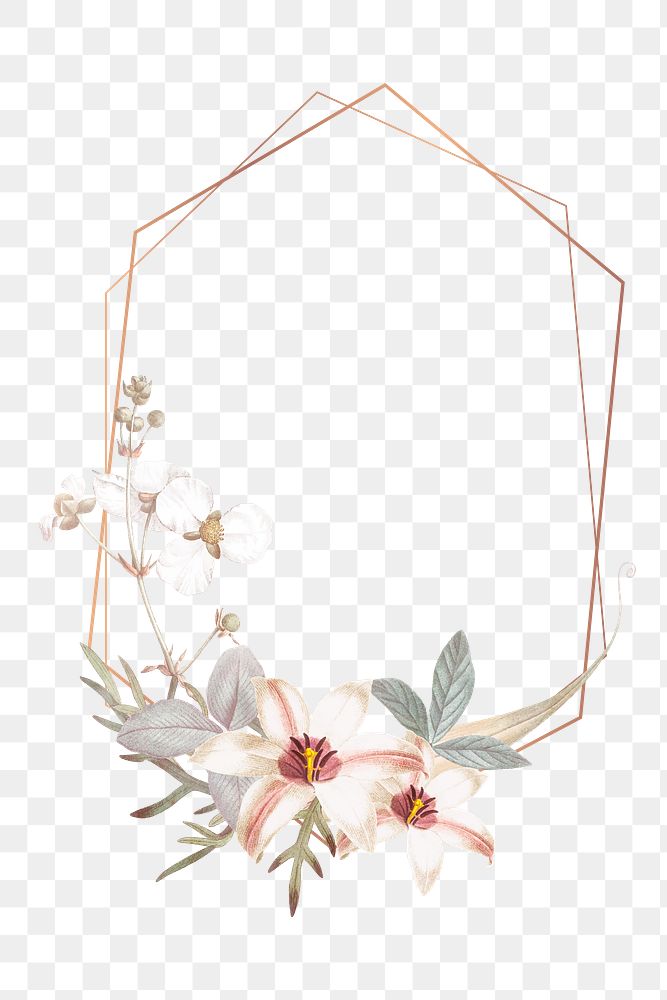 Flower png frame, transparent background