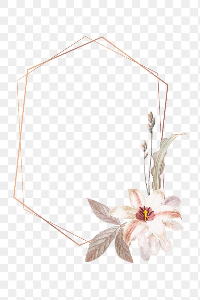 Flower png frame, transparent background