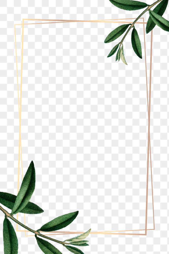 Aesthetic leaf png frame, transparent background