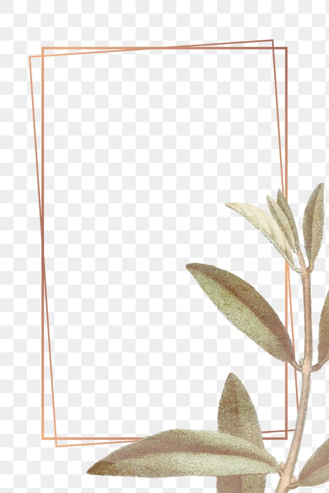 Aesthetic leaf png frame, transparent background