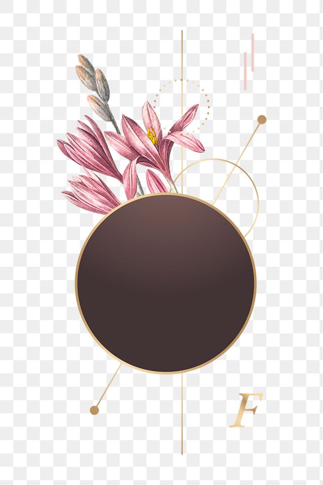 Flower png frame, transparent background