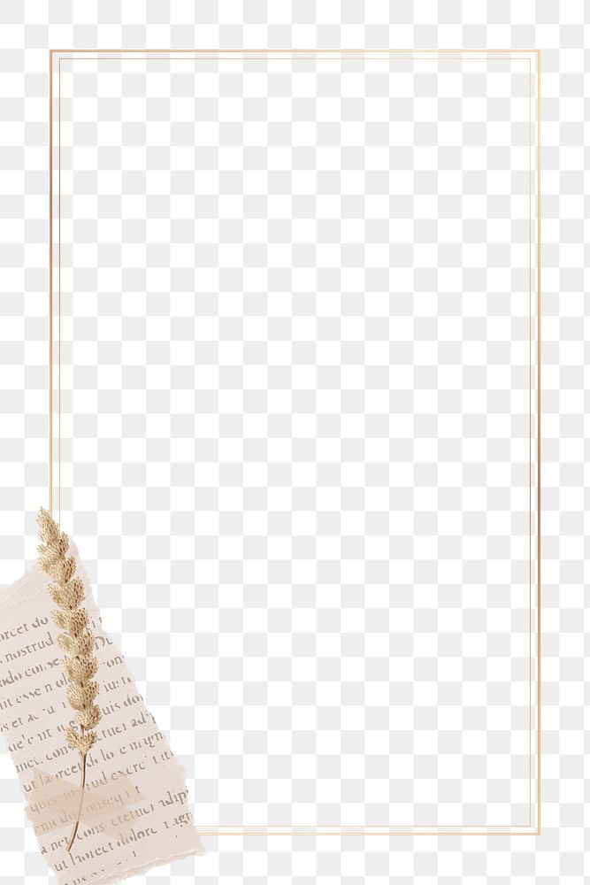 Ripped paper png frame, transparent background