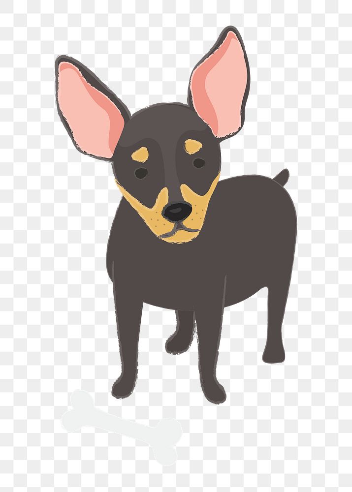Png small Chihuahua dog  sticker, transparent background