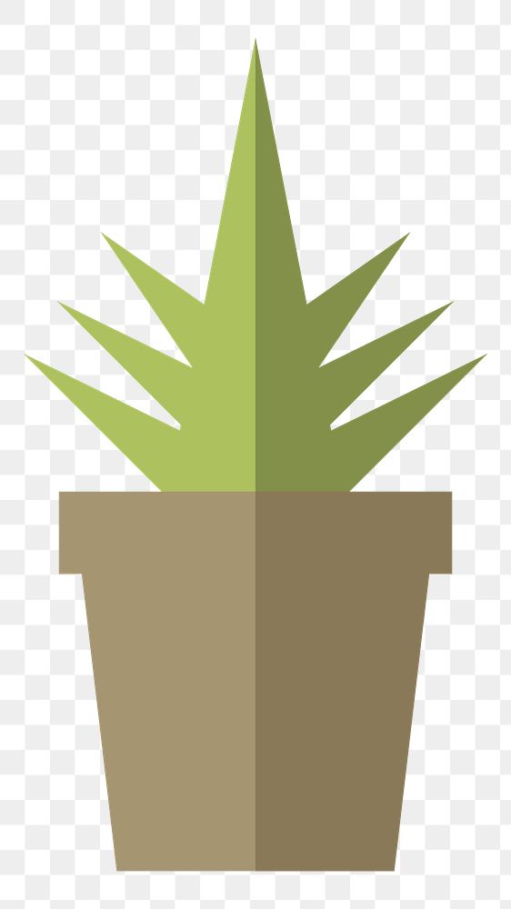 Cactus in a pot  png, transparent background