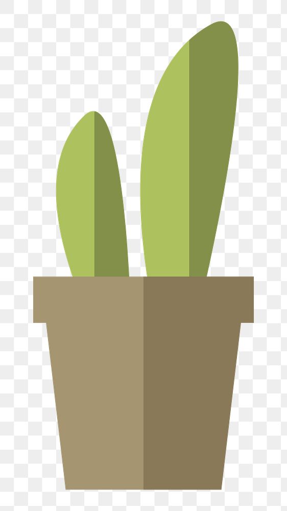 Cactus in a pot  png, transparent background