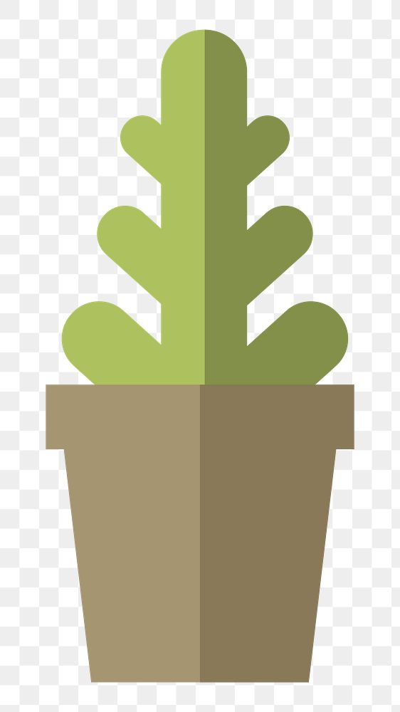 Cactus in a pot  png, transparent background