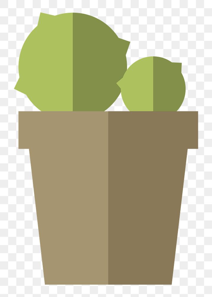 Cactus in a pot  png, transparent background