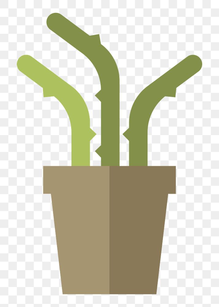 Cactus in a pot  png, transparent background