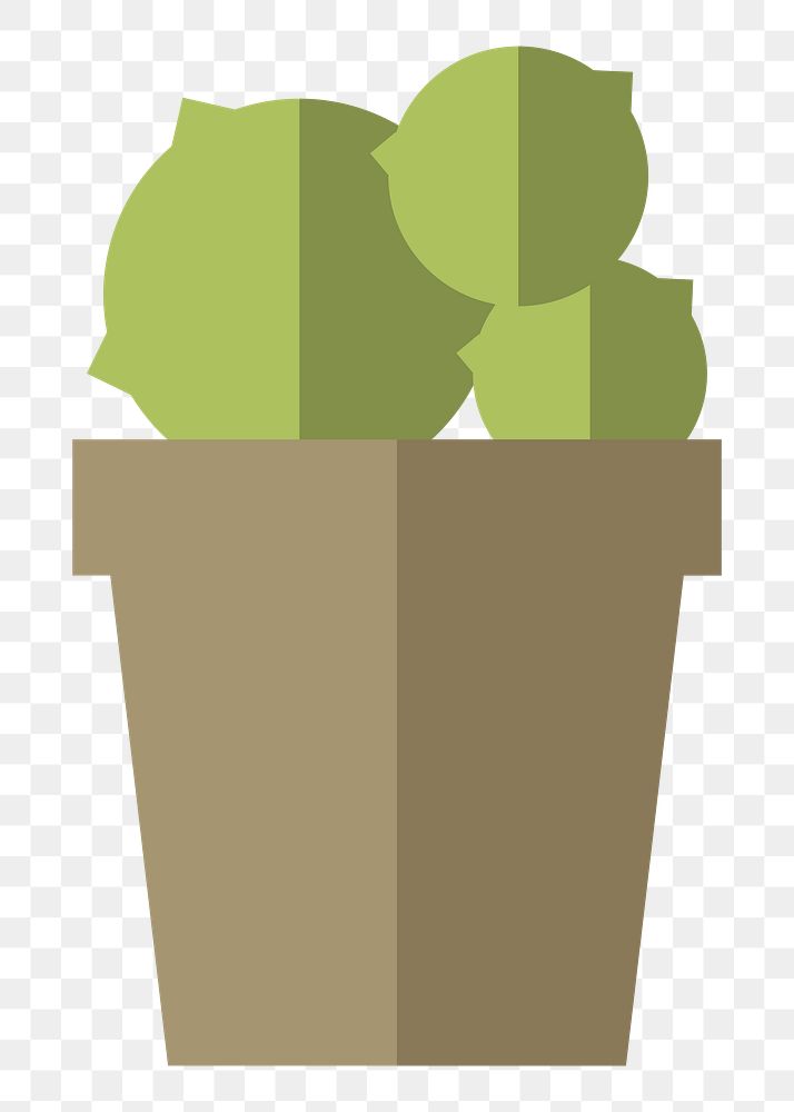 Cactus in a pot  png, transparent background