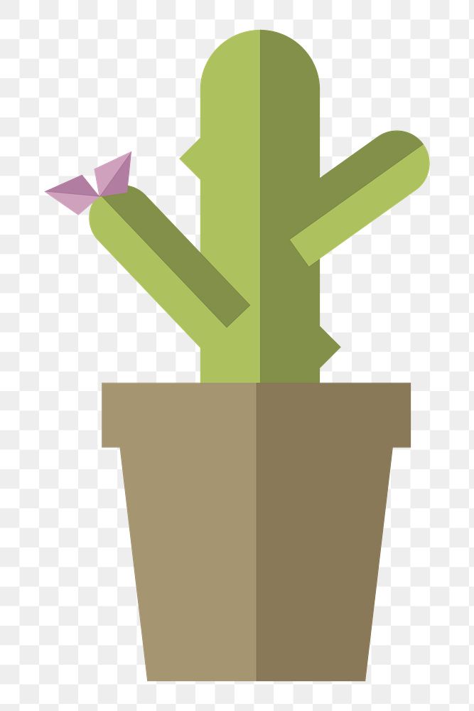 Cactus  png, transparent background