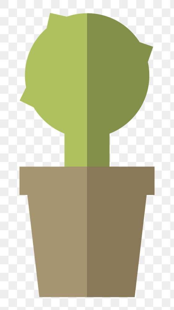 Cactus in a pot  png, transparent background