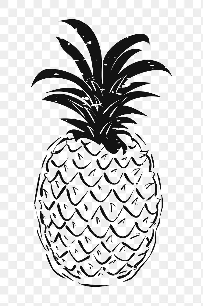 Png black vintage pineapple illustration, transparent background