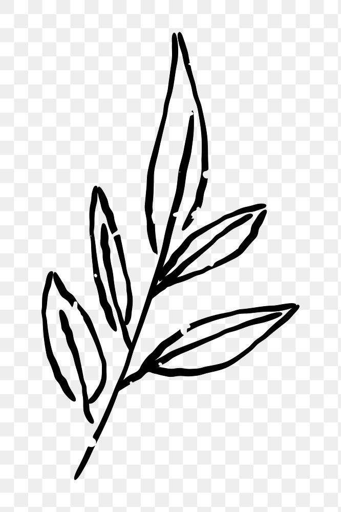 Png plant branch  doodle illustration, transparent background