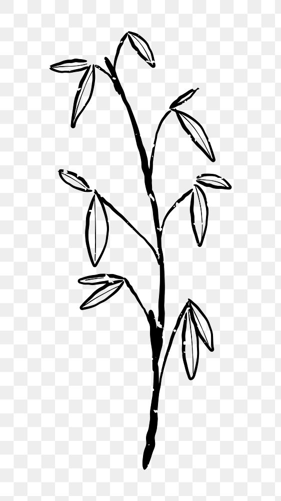 Png leaf branch  doodle illustration, transparent background