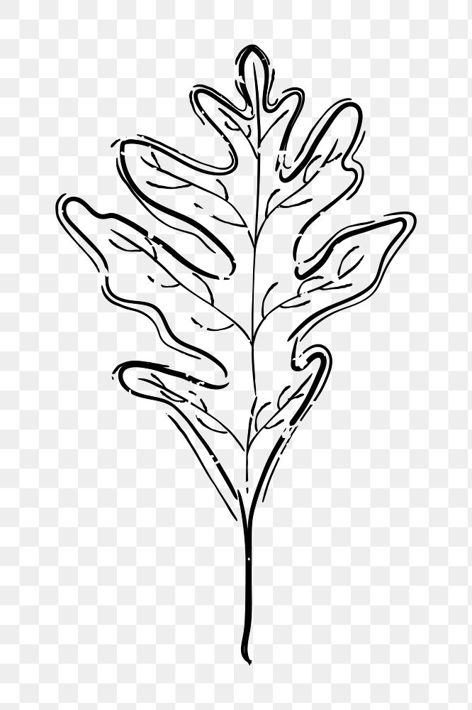 Png simple leaf doodle illustration, transparent background