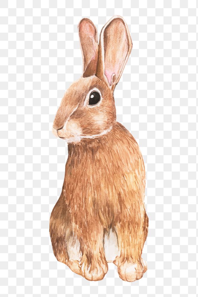 Easter rabbit png watercolor element, transparent background